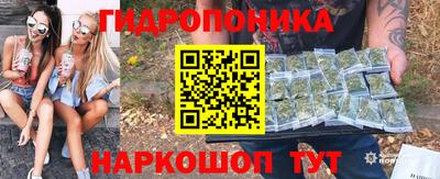 стаф Канаш