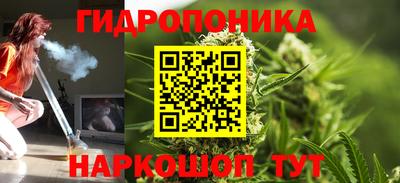 стаф Канаш