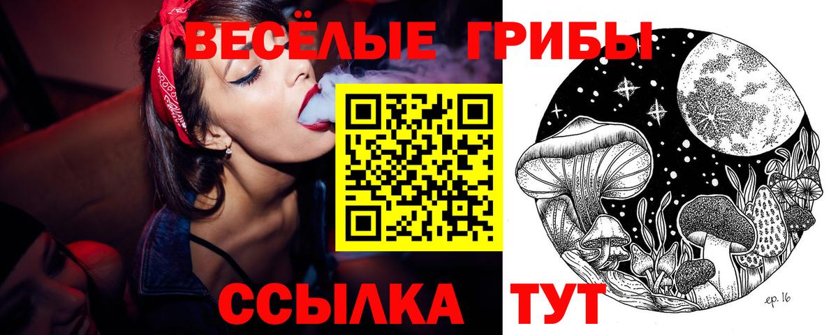 Грязи  Галлюциногенные грибы мухоморы  Вход с VPN 